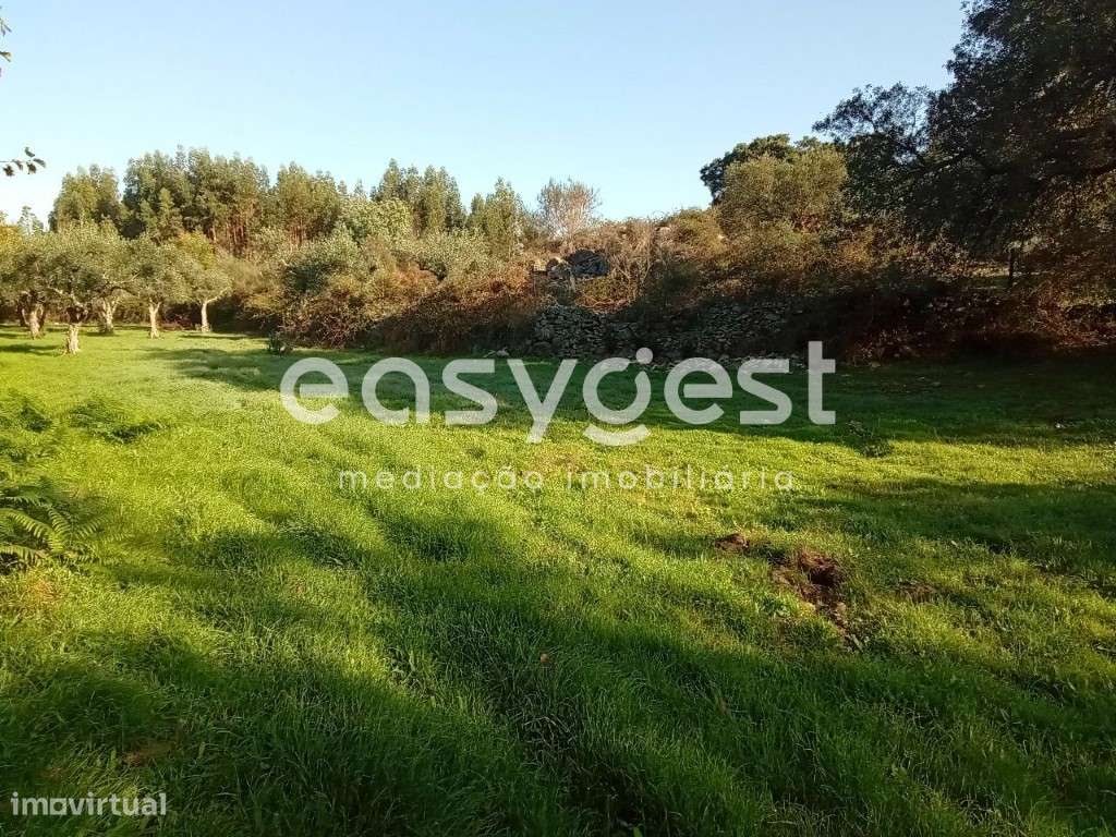 Terreno Rústico com 35000m2 localizado na aldeia de Póvoa Rio Moinhos - Grande imagem: 3/45