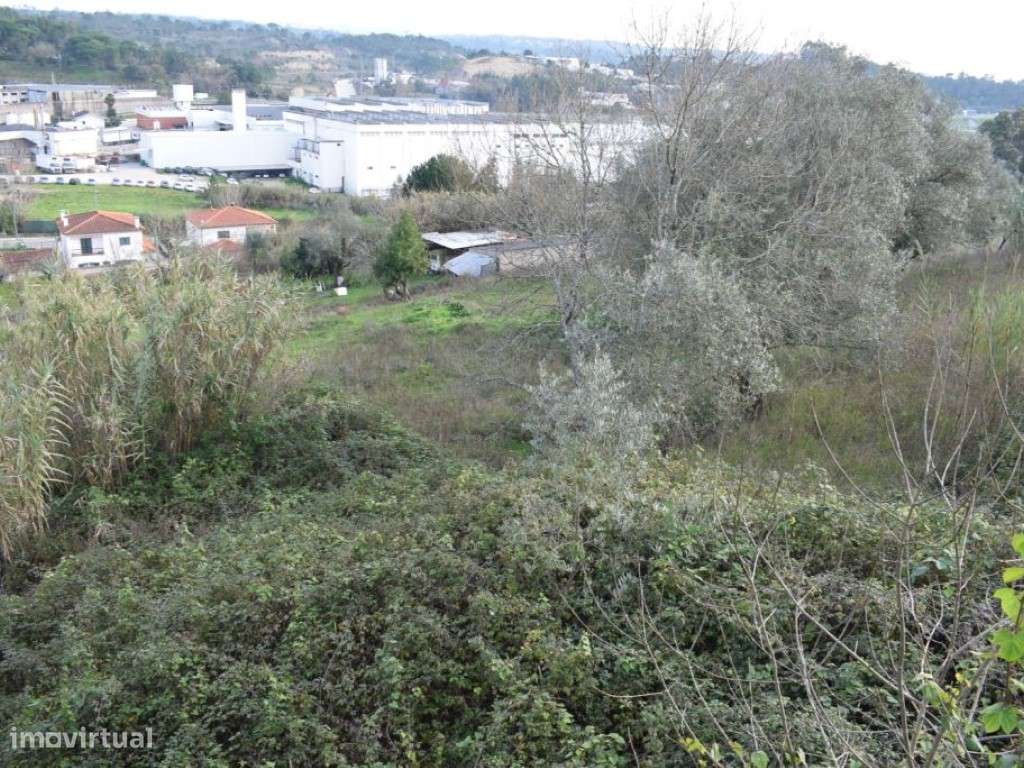 Quinta entre Antanhol e Cernache-9