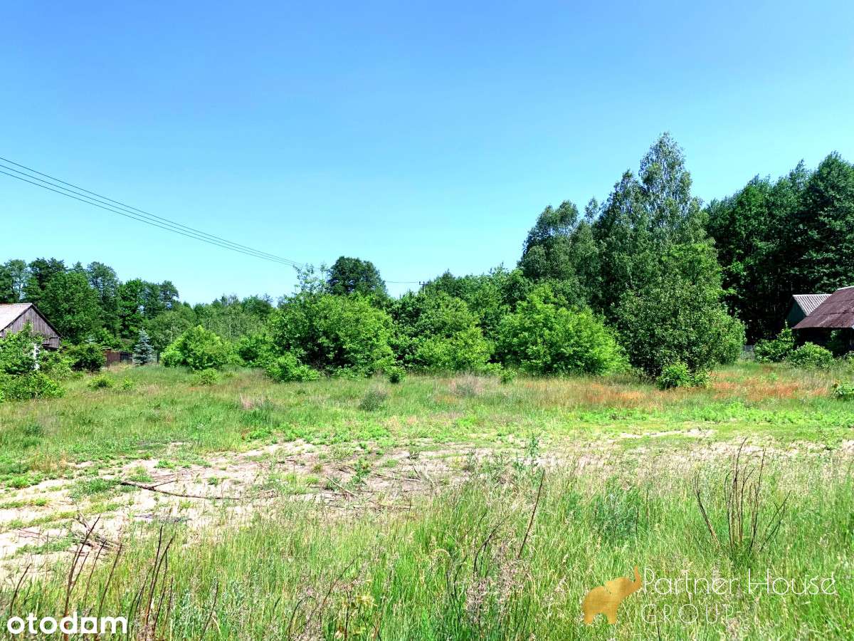 Siedliskowa działka 9700 m2 z dostępem do Liwca - Pełny obrazek: 5/10