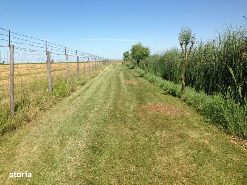 Vand Balta Pescuit - Imagine principală: 5/8