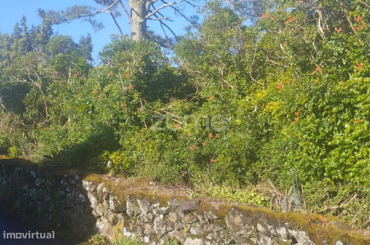 Terreno Urbano Bandeiras/ Pico - Grande imagem: 4/9