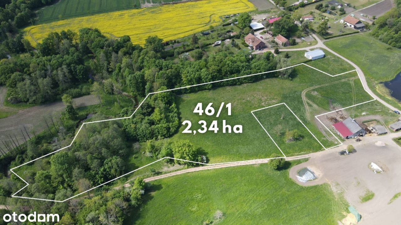 Działka Sporwiny / 2,34 ha / warunki zabudowy