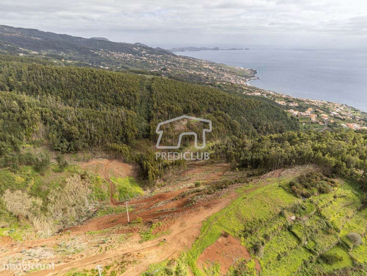 Terreno - Gaula - Grande imagem: 4/15