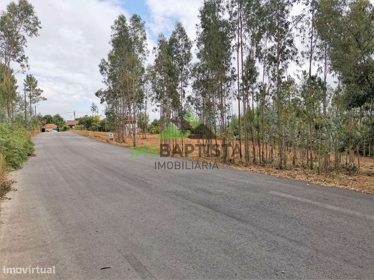 Terreno p/construção em Lobão - Grande imagem: 4/12