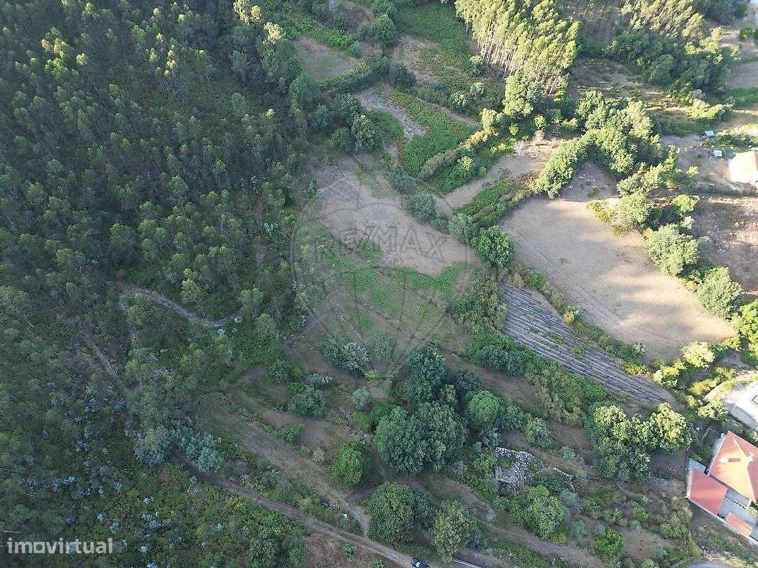 Terreno  para venda-3