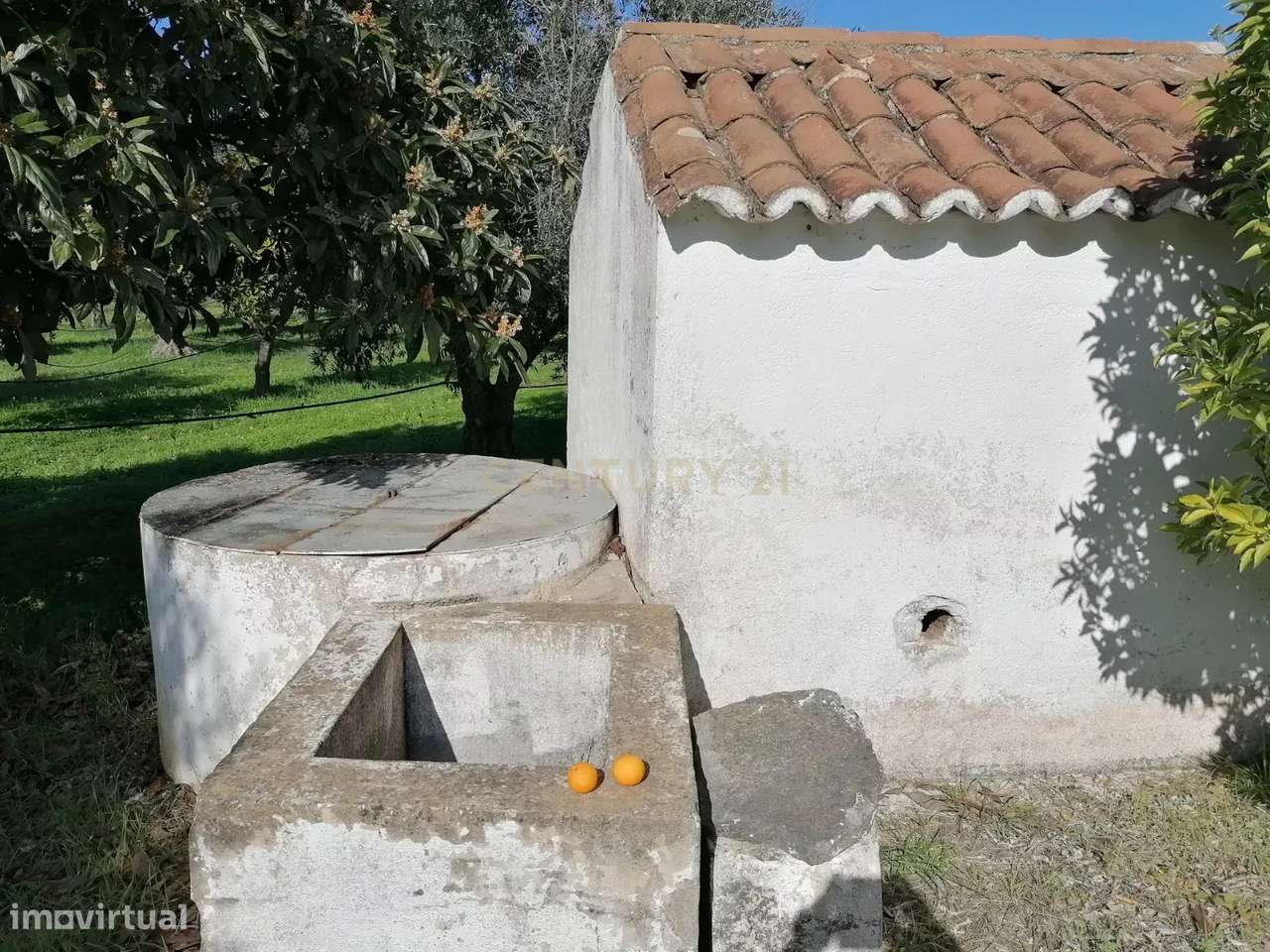 Quinta no Carapetal-19