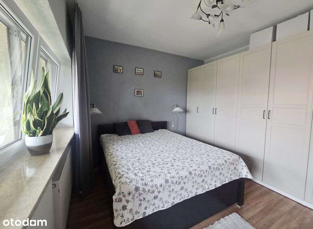 Dom wolnostojący w Mirkowie, cicho i zielono-8