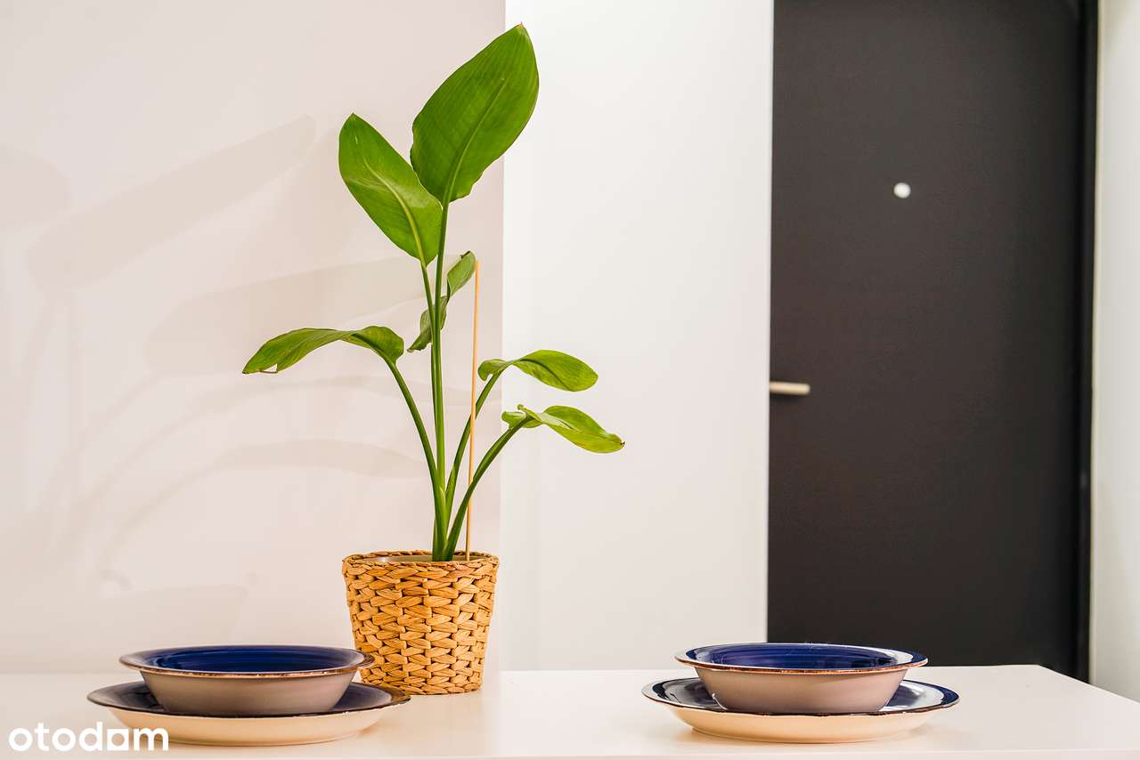 Centrum |Po generalnym remoncie |W pełni umeblowane |Gotowe do wejścia-4