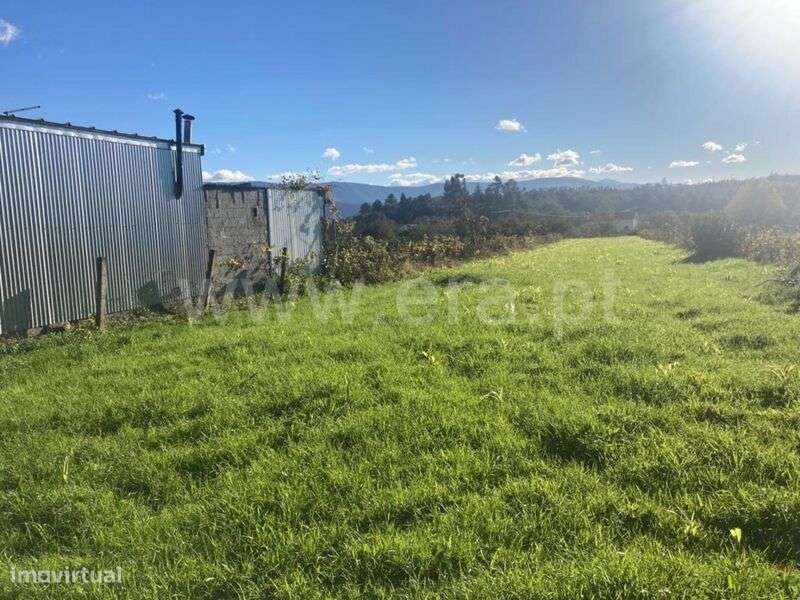 Terreno Rústico / Seia, Seia, São Romão e Lapa dos Dinheiros - Grande imagem: 2/5