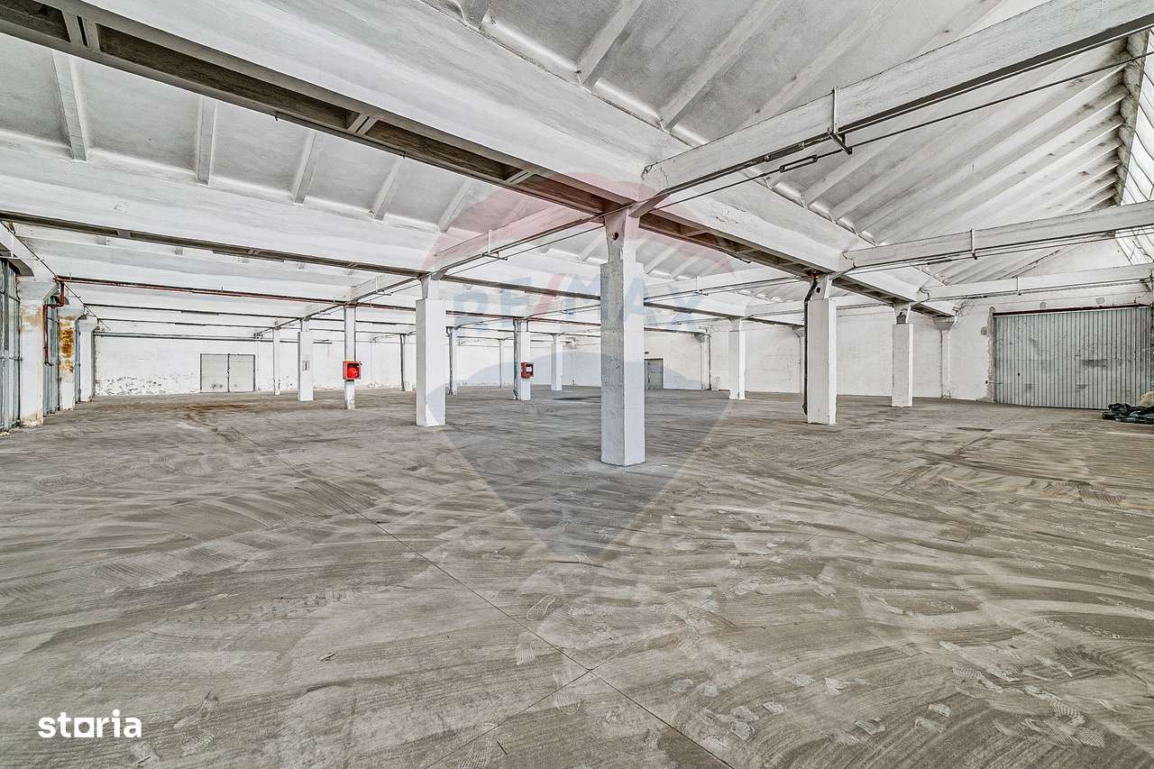 Spațiu industrial Parc Uta 1 - 1174 mp - Imagine principală: 5/6
