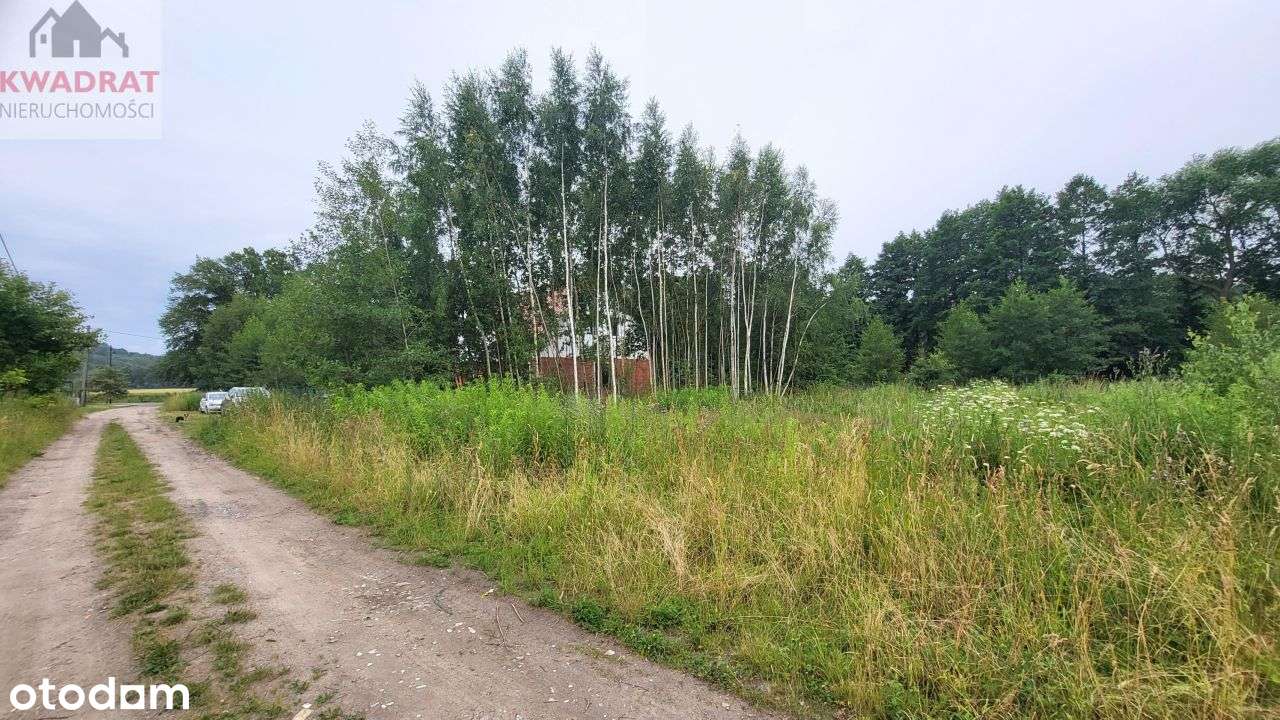 Działka z pozwoleniem na budowę - Zalew Wiślany-6