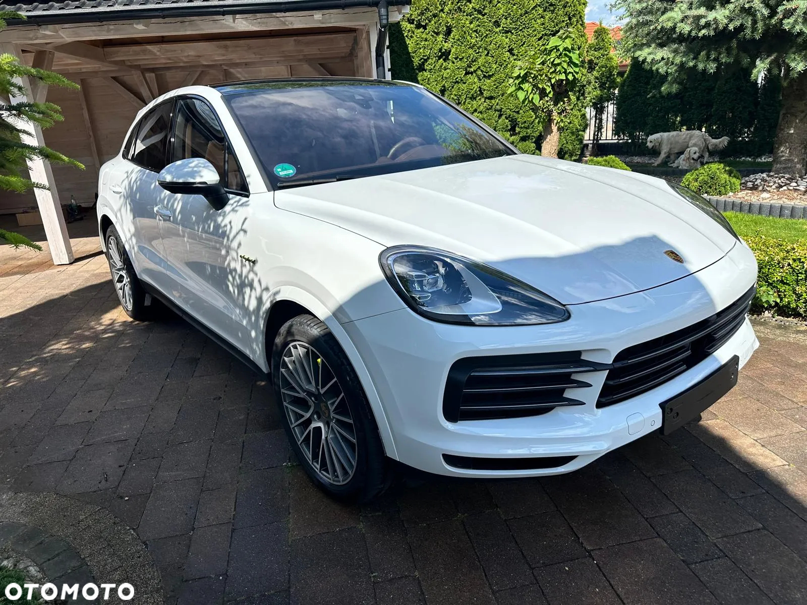 Porsche Cayenne Coupe E-Hybrid Platinum Edition - 2