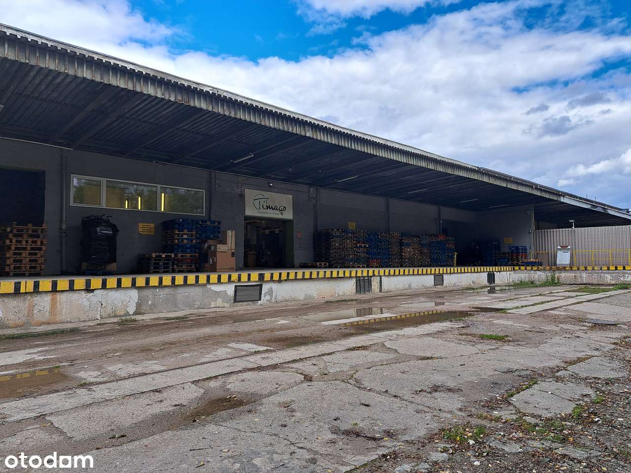 Hala/Magazyn na sprzedaż lub wynajem, Zabrze, ul. Pyskowicka 18 - Pełny obrazek: 4/5