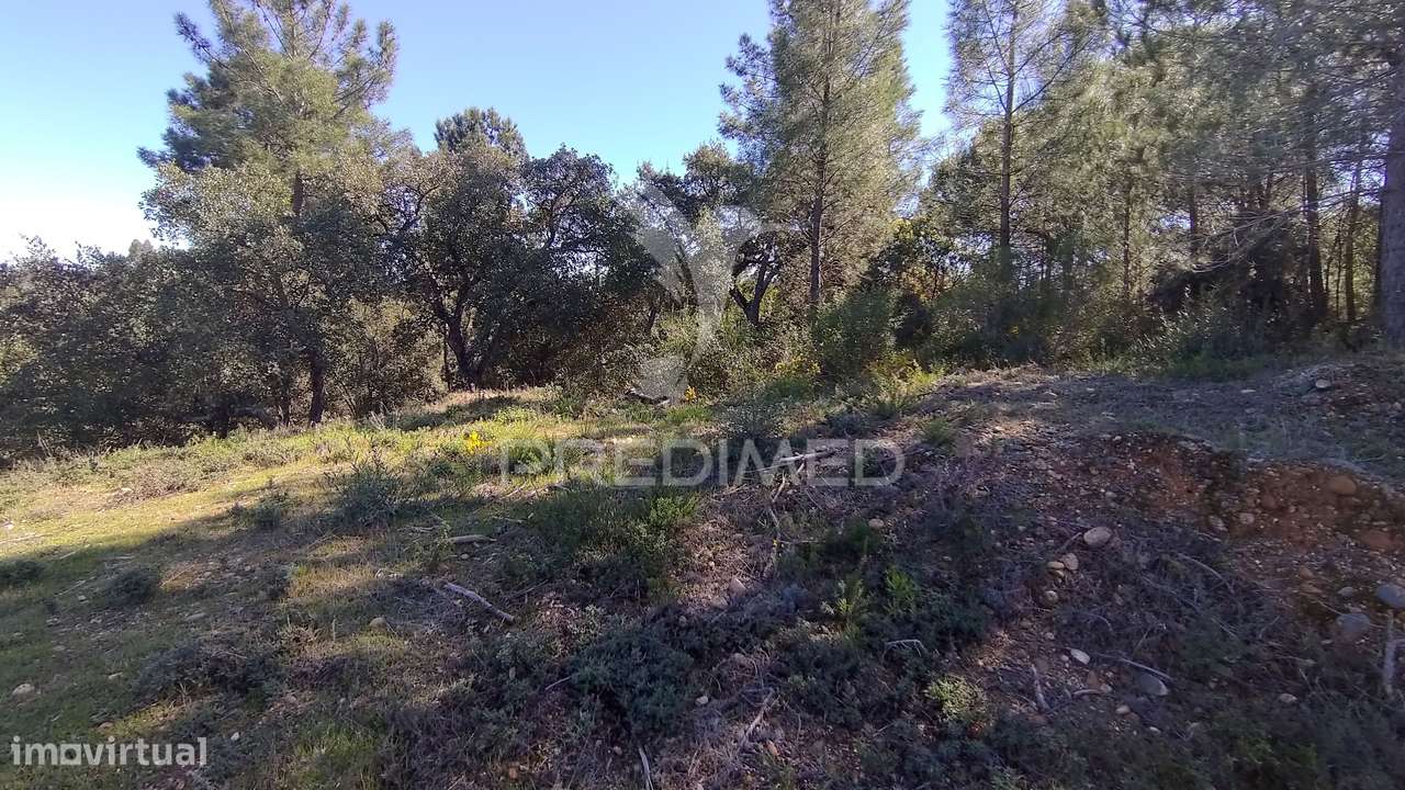 Terreno Rústico 1440 m2 - Grande imagem: 5/14