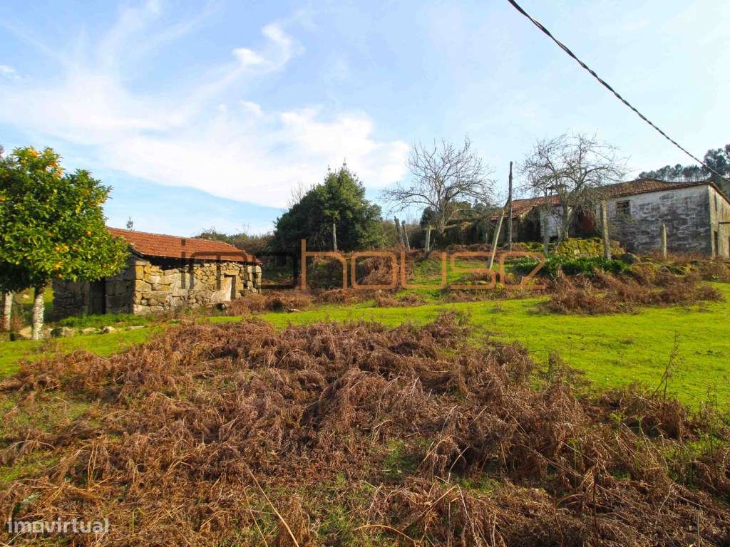 Quinta de 5.6 ha - Varias edificações, ribeiro e vista Douro-10