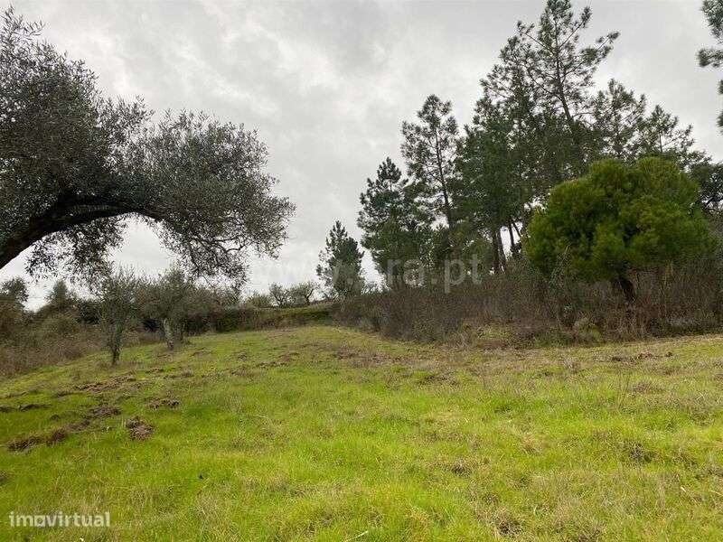 Terreno Rústico / Fundão, Orca - Grande imagem: 3/8