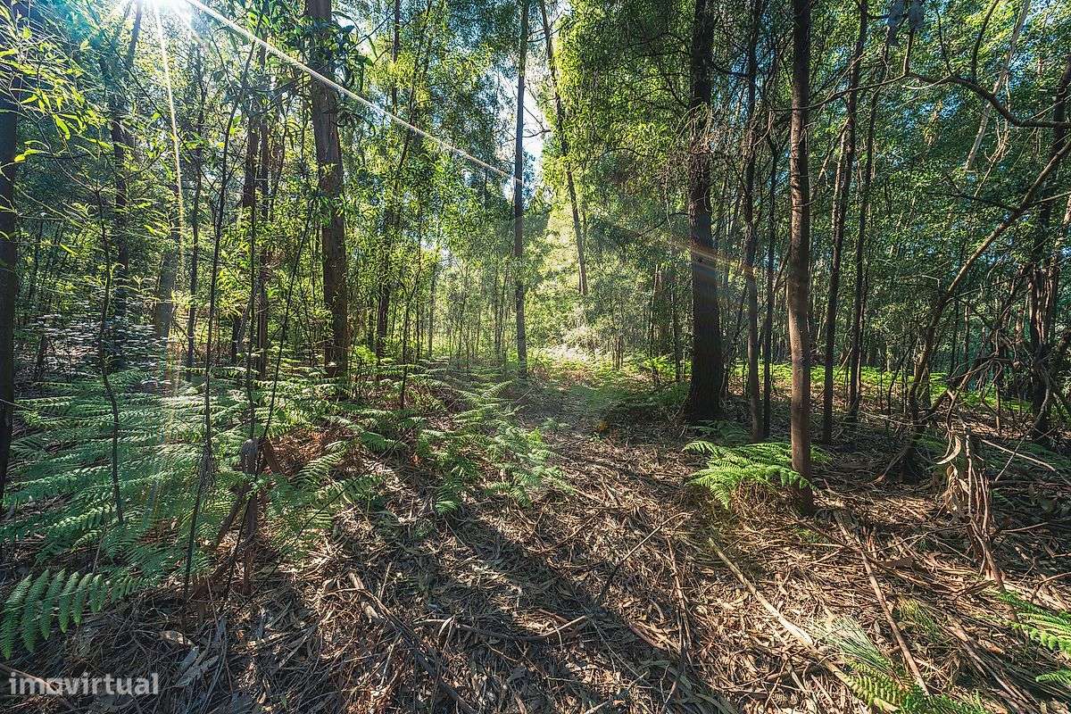 Moradia T4 para venda-23