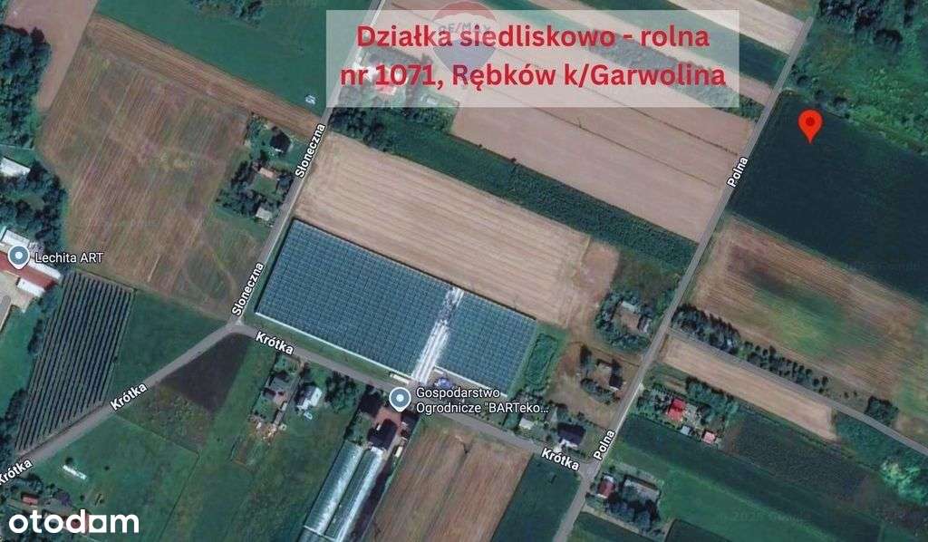 Działka siedliskowo-rolna 1ha – Rębków k/Garwolina - Pełny obrazek: 5/5