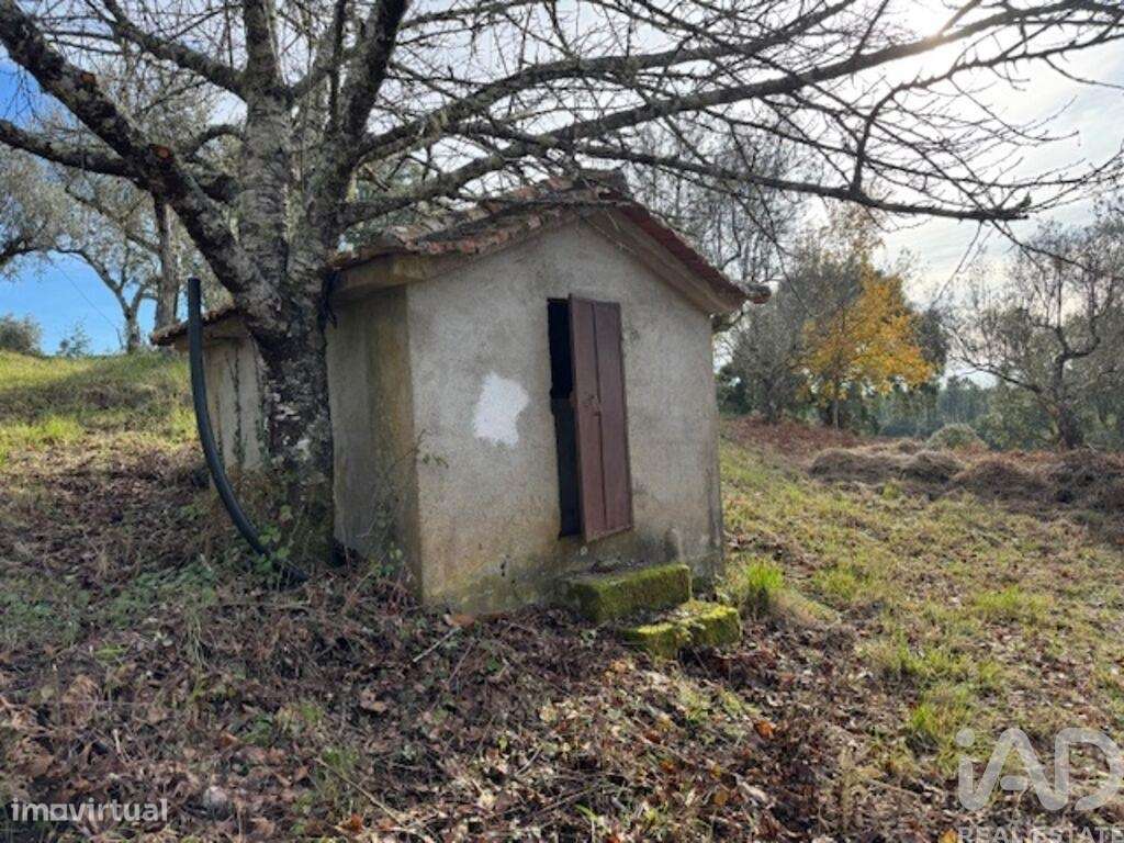 Casa de Campo T2 em Pedrógão Pequeno de 48 m2 - Grande imagem: 4/38