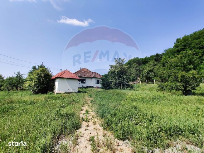 Casă cu teren de vanzare Buzești-10