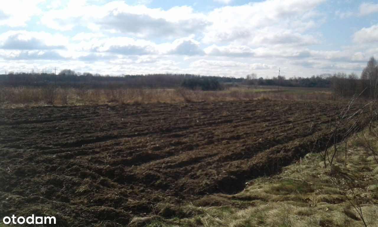 Do sprzedania działki rolne 1,6 ha Wólka Zychowa