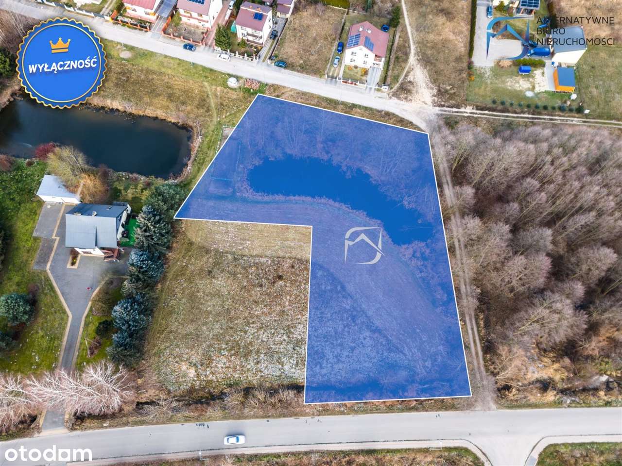 Działka budowlano-usługowa ze stawem - Kock-7