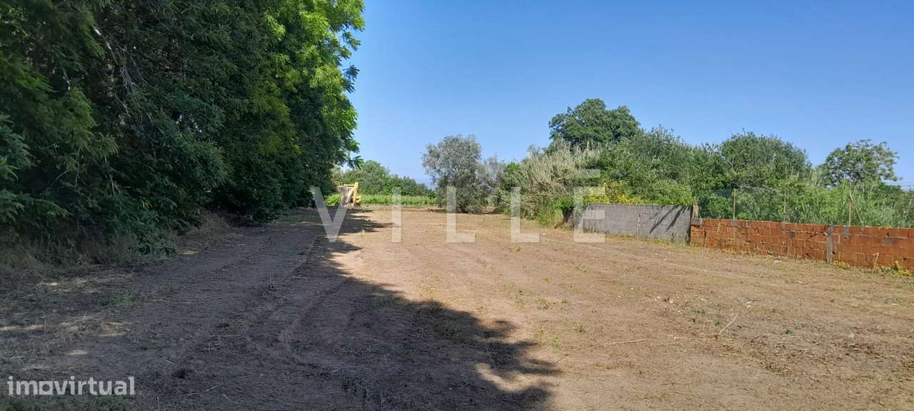Terreno para Construção – Mamarrosa (Oliveira do Bairro) - Grande imagem: 3/5