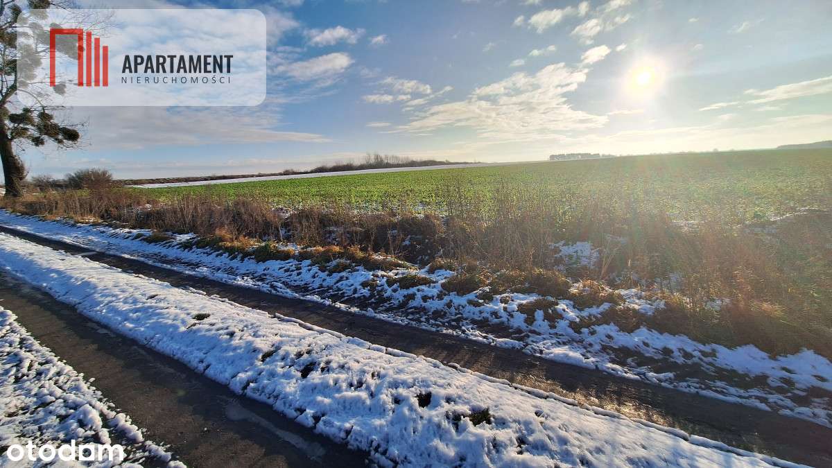 Kompleks 8 działek budowlanych + 110a ziemi - Pełny obrazek: 5/8