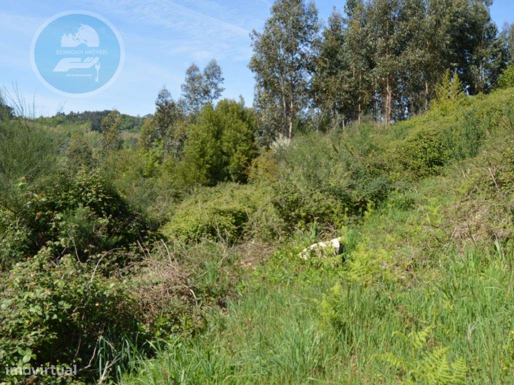 Terreno à venda- Cruz do Muro, Cabeceiras de Basto-20