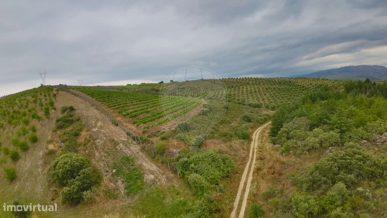 Terreno  para venda - Grande imagem: 4/9