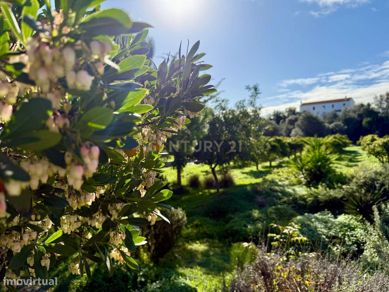 O seu refúgio de sonho no coração do Algarve, a poucos minutos da Prai-42
