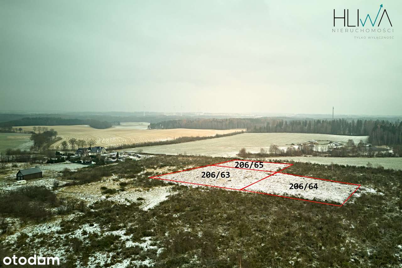 Działka zagrodowa Mierzyno gm. Gniewino 3011 m2-7