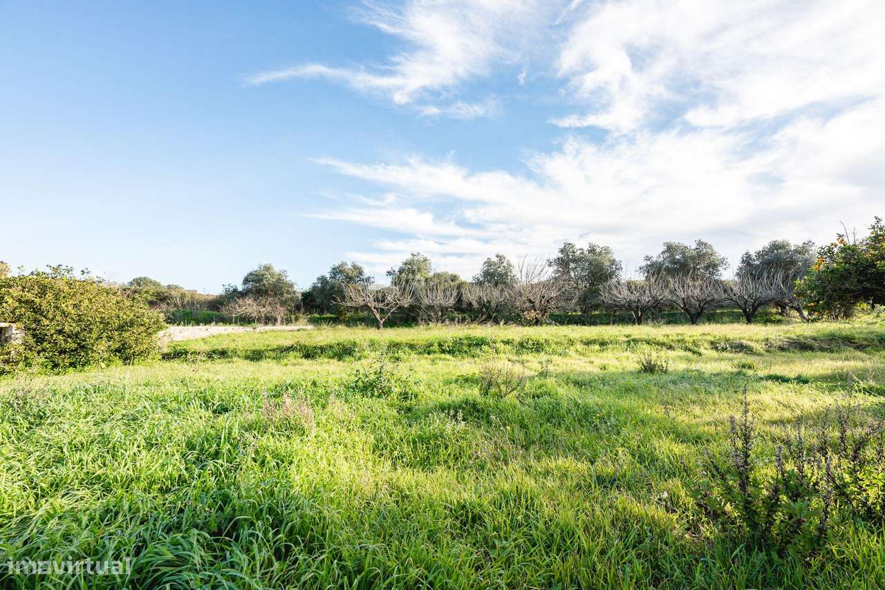 Quinta das Baldrucas-49