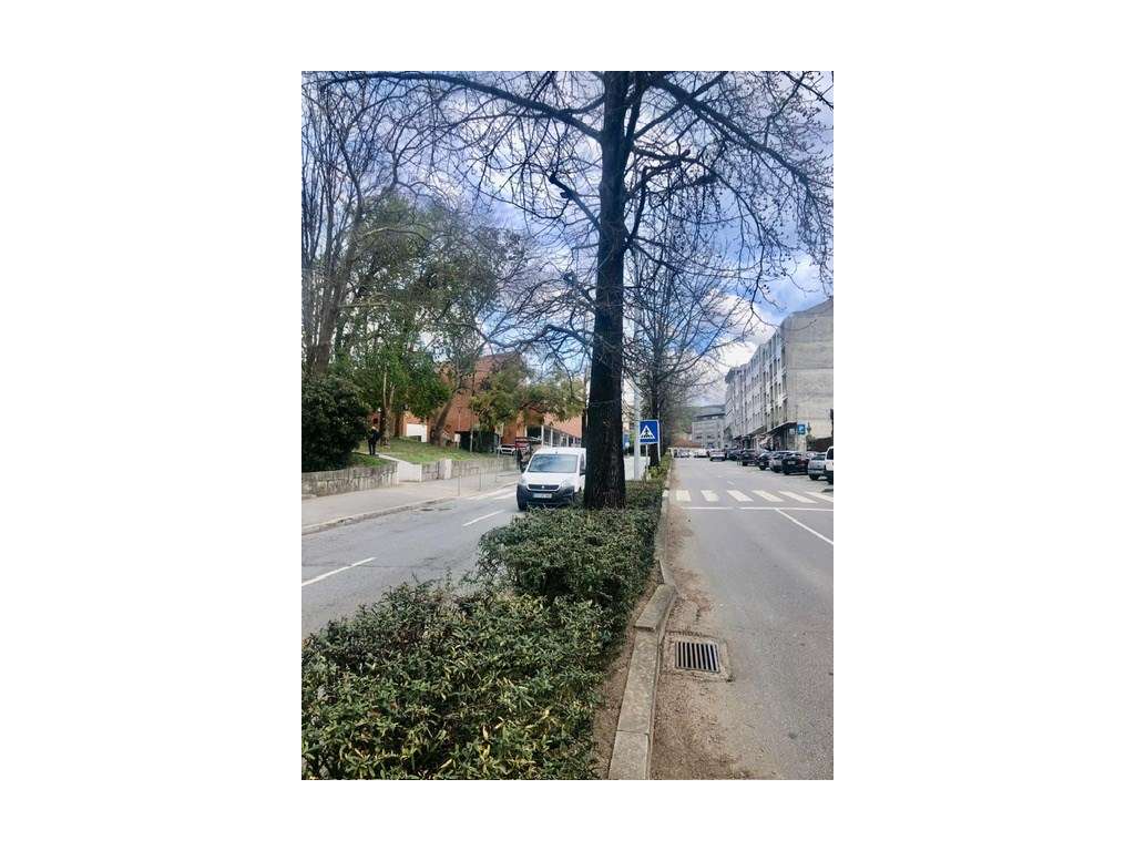 Loja Grande no Centro - Grande imagem: 3/21