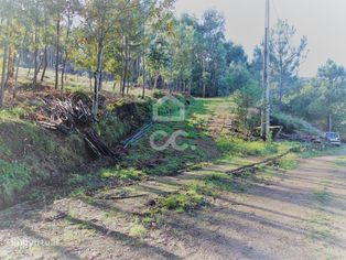Terreno em Barcelos! - Grande imagem: 5/10