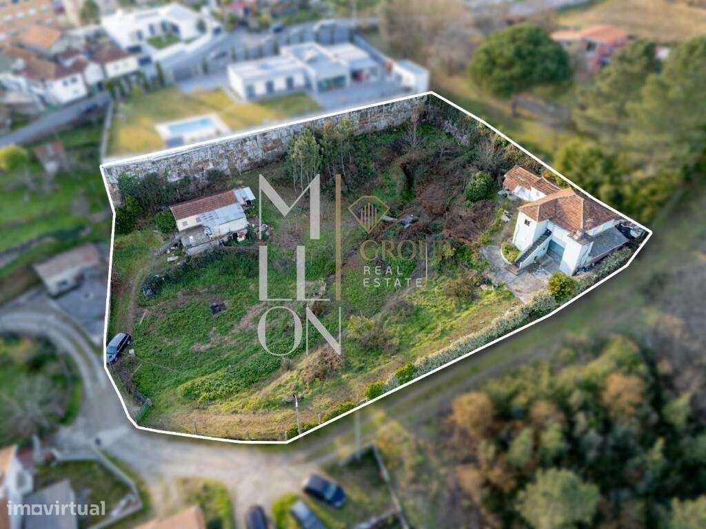 RECAREI PAREDES - Grande imagem: 3/17