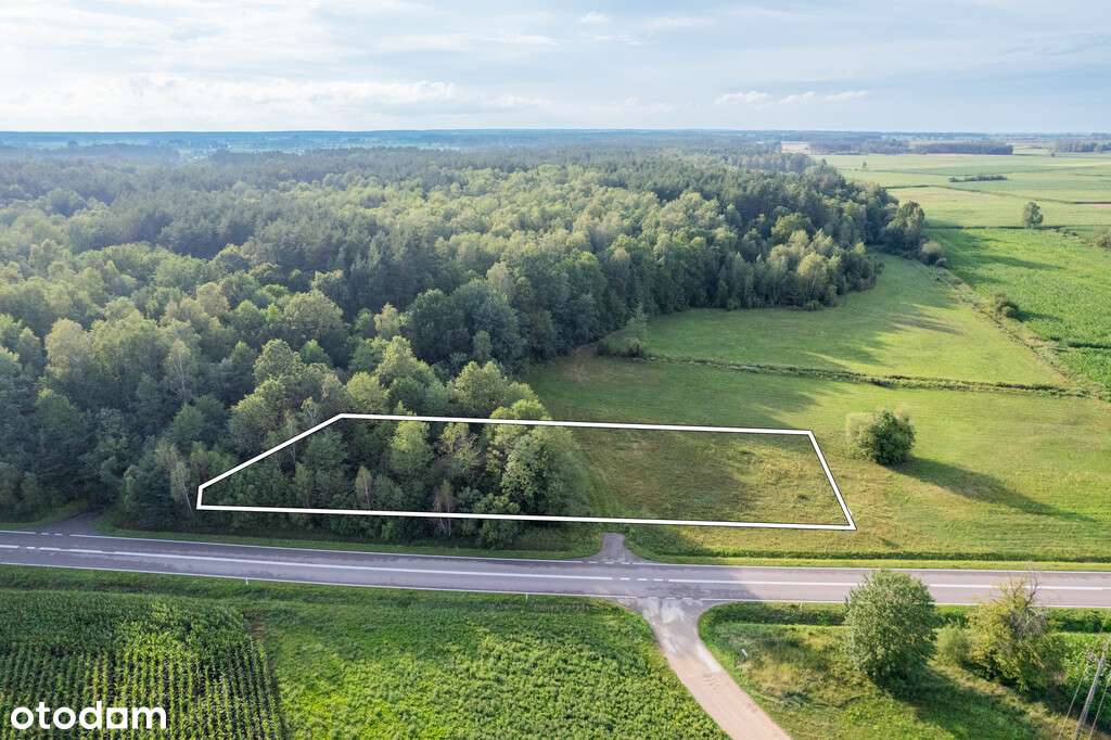 Działka rolno-budowlana 3024m Zygmunty - Pełny obrazek: 4/6