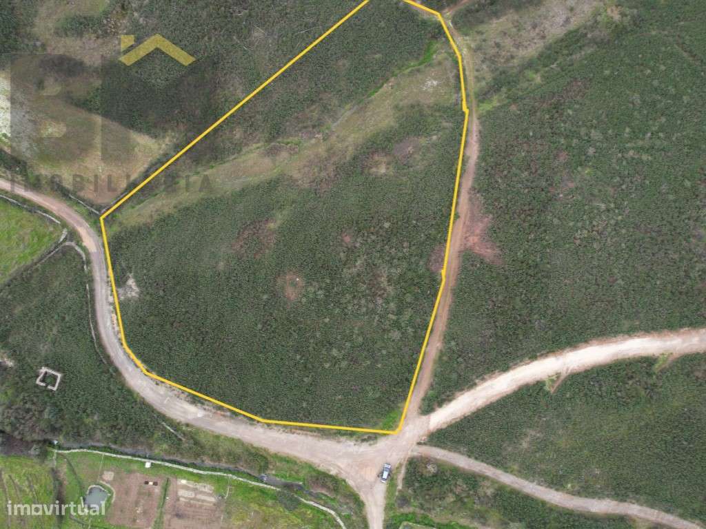 Quinta com 17.200m2 para venda em Juncal do Campo! - Grande imagem: 2/9