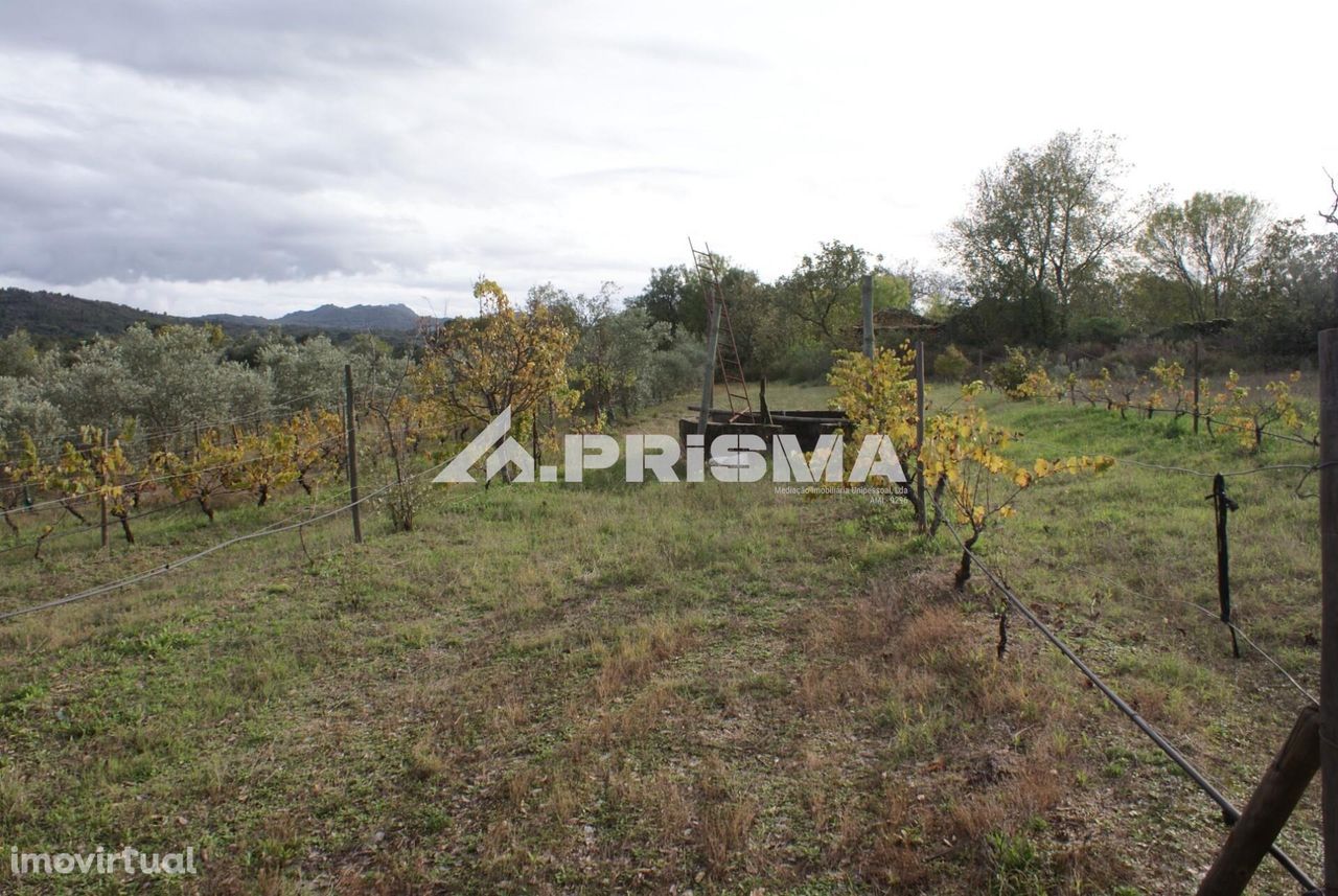 Terreno Isolado para vender em Aranhas, Penamacor