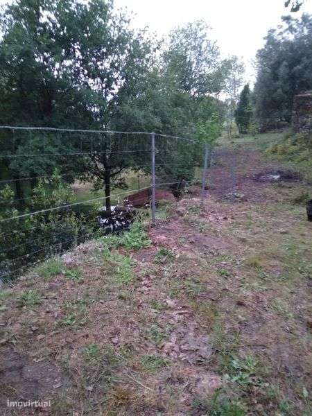 Terreno com ruina 1600M² - Grande imagem: 4/11