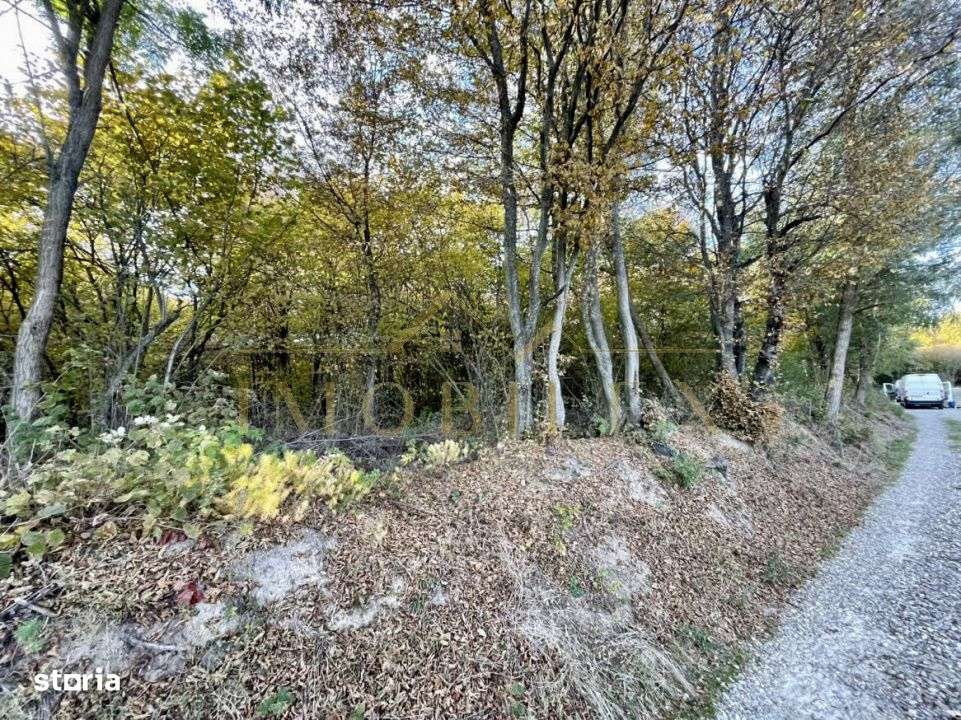 Teren 1256 mp, de vanzare, zona Ciurila - Imagine principală: 4/4