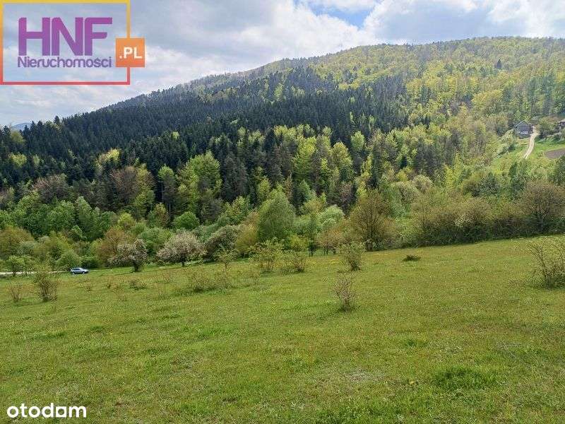 Widokowa działka 2,74ha w miejscowości Wronowice - Pełny obrazek: 5/20