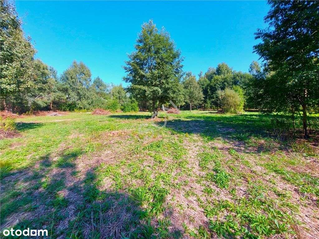 Działka W Sąsiedztwie Lasu - Pełny obrazek: 3/6