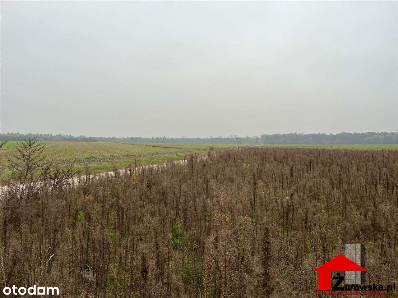 Działka budowlana 1200 m2 + 200 m2 droga - Pełny obrazek: 5/9