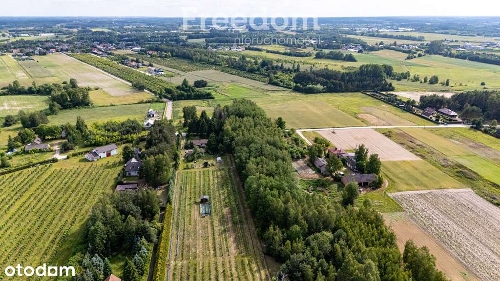 Działki inwestycyjne Kotorydz 25 812 m² - Pełny obrazek: 5/14