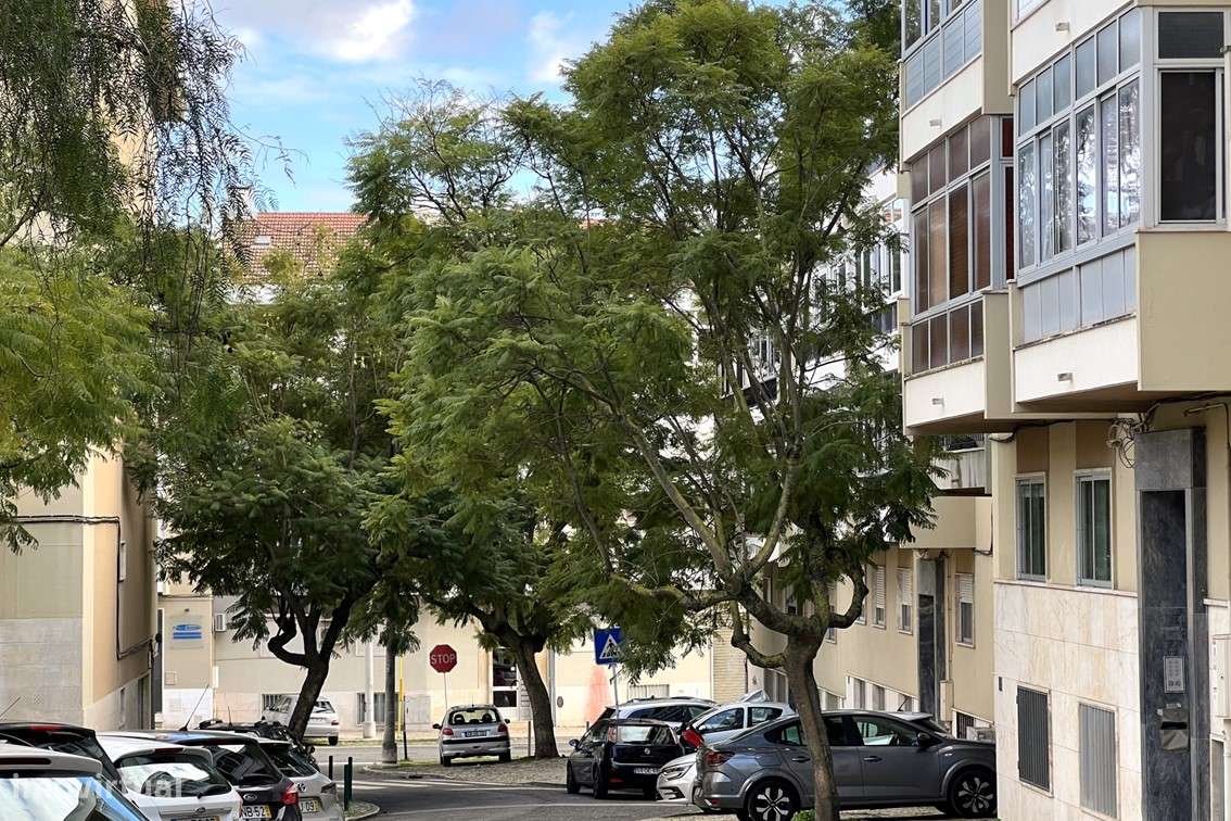 T2  / Renovado em São João da Talha-22