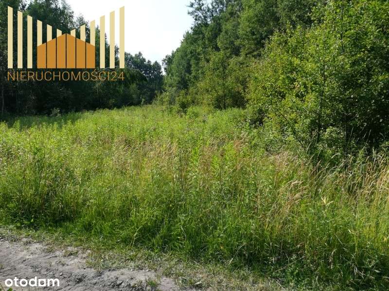 619339 - Pełny obrazek: 2/6