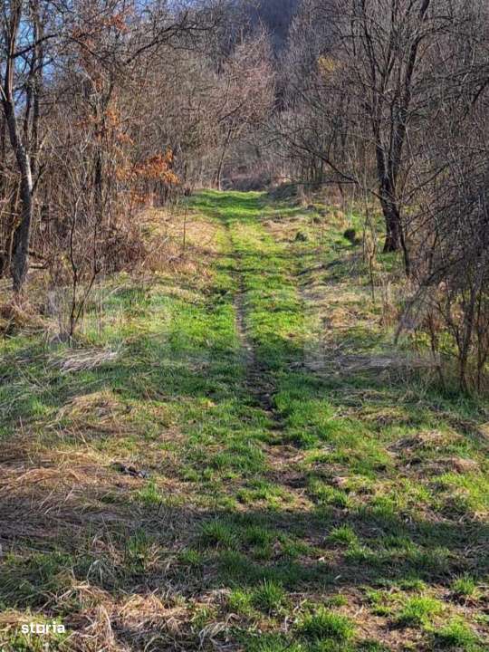 Casa cu o camera, 60 mp, in apropiere de Brad - Imagine principală: 1/3