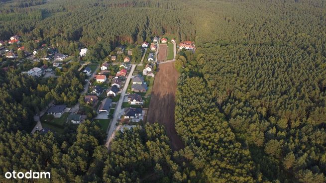 Duża działka budowlana w otoczeniu lasu