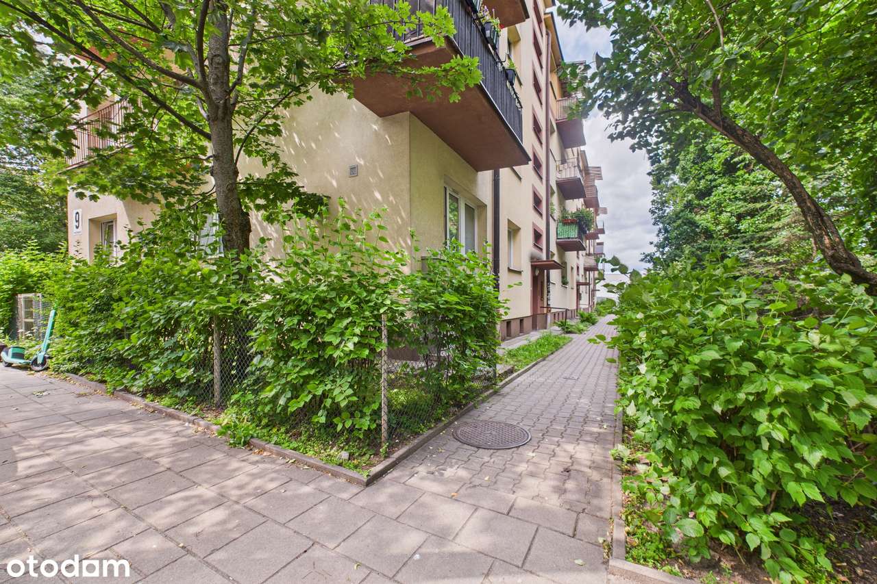 Zobacz, Jak Wygląda Cisza i Zieleń w Samym Centrum Miasta TERAZ!-7